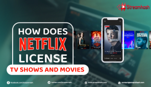 how-does-netflix-licence-tv-shows-and-movies-streamhash - Streamhash