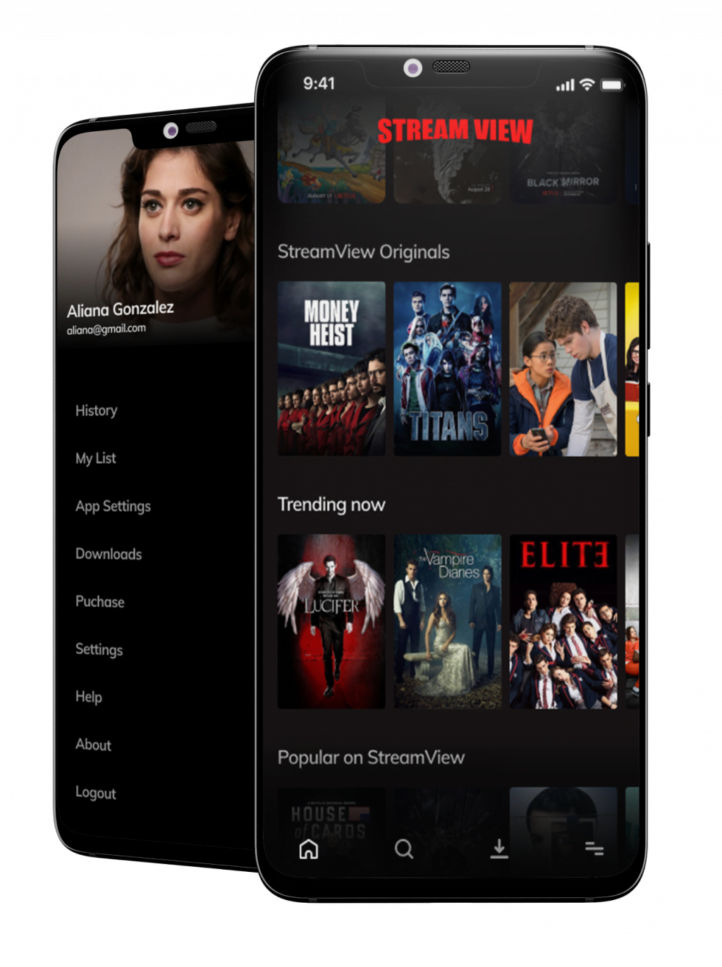 Netflix Clone Script | VOD Platform | Video on Demand Services- StreamHash